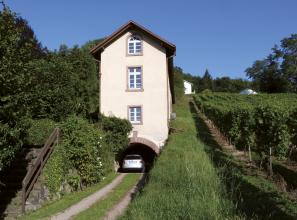 Im Mittelpunkt dieses Fotos steht ein schmales, an einem Hang gelegenes hohes Gebäude, an dessen Fuß sich ein bogenförmiger Tunnel öffnet. Links des Hauses stehen Bäume, rechts ziehen sich Reben den Hang hinauf. Vor dem Haus verläuft ein Zufahrtsweg.