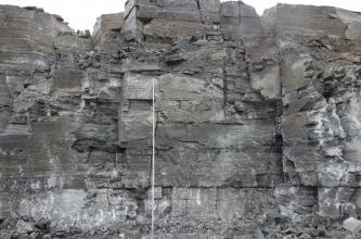 Blick auf die zerklüftete Abbauwand eines Steinbruches mit hellgrauen Stellen unten und rechts am Bildrand. Im übrigen Teil des Bildes dominiert dunkelgraues Gestein.