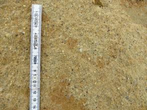 Nahaufnahme einer 14 Zentimeter hohen, hellbraunen Sandschicht. In die feinen Kristalle mischen sich vereinzelte schwarze Körner.