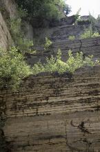 Die Aufnahme zeigt mehrere Gesteinsterrassen in einem Steinbruch, mit feiner waagrechter Schichtung. Auf den Terrassenstufen wachsen Pflanzen.