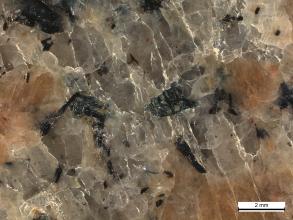 Nahaufnahme eines Gesteins mit rötlichen, rundlichen Mineralen, klaren, eckigen und kleinen, schwarzen Mineralen. Unten rechts befindet sich ein Maßstab.