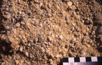 Großaufnahme von Kieselsteinen auf hellbraunem Sand.