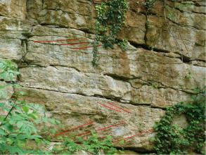 Ansicht einer Steinbruchwand. Das Gestein ist waagrecht gebankt, von hellgrauer bis olivgrauer Färbung, verwittert und bewachsen.