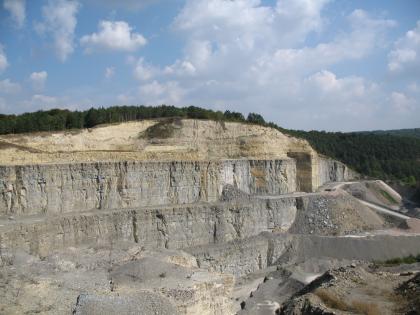 Unterer und Mittlerer Muschelkalk, Werbach Gesamtansicht einer großen, weißlich grauen Steinbruchwand mit mehreren Stufen. Die noch bewaldete, gerundete Kuppe ist gelblich braun.