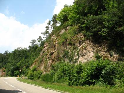 Granitfelsen (Forbach-Granit) bei Baden-Baden-Oberbeuern Blick von der Straße, die sich im linken Vordergrund befindet, auf eine steile, teilweise von Sträuchern und Büschen überwachsene Felswand.