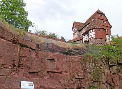 Dickbankige Sandsteine des Mittleren Buntsandsteins in einem ehemaligen Steinbruch beim Altensteiger Schloss Blick auf eine rötlich graue, ehemalige Steinbruchwand. Der obere Rand des dickbankigen Gesteins ist mit Netzen gesichert. Rechts ist ein verwinkeltes Fachwerkgebäude mit vorgelagertem Turm zu sehen, darunter ist das Gestein stark zugewachsen.