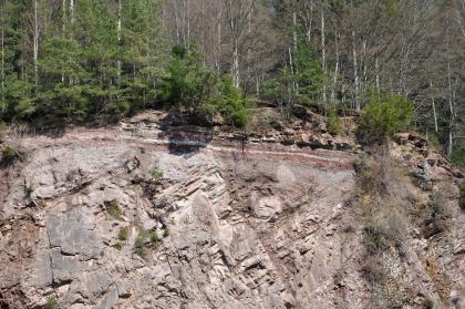 Steinbruch im Granit bei Alpirsbach – Auflagerung Deckgebirge über Grundgebirge Teilansicht einer Steinbruchwand unter Wald. Unter der Bodenauflage verläuft ein waagrechter, rötlich weißer Streifen. Weiter abwärts ist das Gestein schräg geschichtet.