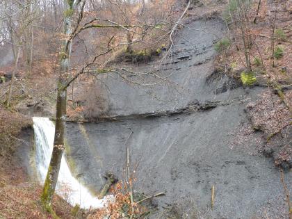 Achdorf-Formation am Schleifebächle bei Blumberg Blick auf eine steile graue, teilweise bewachsene Gesteinswand. Links schäumt ein schmaler Wasserfall. Davor steht auf einem Felsvorsprung ein hoher, schlanker Baum.