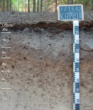 Mäßig tief entwickelter Braunerde-Podsol aus Buntsandstein-Hangschutt Das Bild zeigt ein aufgegrabenes Bodenprofil unter Wald. Das Profil ist durch eine beschriftete Kreidetafel als Musterprofil des LGRB ausgewiesen. Das in sieben Horizonte gegliederte, graue bis hellbraune Profil ist 90 cm tief.