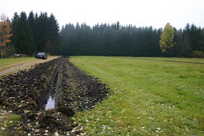 Drängraben im Niedermoor Das Bild zeigt links einen Drängraben im Niedermoor. Im Vergleich zur rechts angrenzenden Wiese ist der Boden des Grabens schwarz und mit Wasser gefüllt. Im Hintergrund steht Wald.