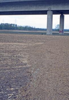 Junges Auensediment bei der Neckartalbrücke der Autobahn zwischen Heilbronn und Neckarsulm-Obereisesheim Das Bild zeigt nach Überflutung angeschwemmtes, rechts verdichtetes Stroh und anderes Bodenmaterial am Rande eines Flusses. Im Hintergrund eine auf Pfeilern stehende Brücke.