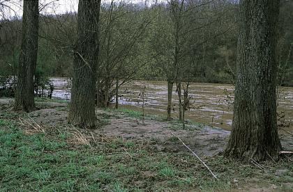 Bei Hochwasser am Neckar Blick auf die Ufer eines Hochwasser führenden Flusses. Das vordere, dem Betrachter nahe und mit Bäumen bestandene Ufer zeigt dabei deutliche Spuren von Überflutung, wie abgelagertes Erdreich oder angeschwemmtes Stroh.