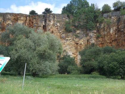 Karstspalten im Steinbruch am Moldenberg nordöstlich von Heidenheim; Foto: Geopark Schwäbische Alb Teilansicht einer alten, stark zugewachsenen Steinbruchwand. Davor stehen mehrere Bäume. Links oben, über einer Baumkrone, ist eine senkrechte Spalte im Gestein zu erkennen.