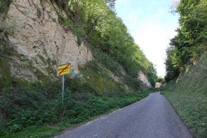 Lösshohlweg bei der Silberberghalle von Bahlingen am Kaiserstuhl mit Blick in nördliche Richtung Blick auf einen breiten, leicht nach rechts ansteigenden Lösshohlweg mit hohen, steilen Wänden. Bei der Wand links sind unterhalb der bewachsenen Kuppe große Stellen des Lössmaterials zu erkennen.