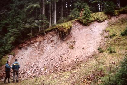 Sandgrube zwischen Triberg und Schönwald Blick auf die Wand einer Sandgrube. Die Wand aus rosafarbenem Material steigt in leichtem Bogen nach rechts hin an. Die Kuppe oben ist bewaldet, rechts und unten verläuft eine bewachsene Böschung.
