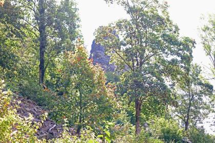 Aus der Brandhalde bei Oberndorf am Neckar aufragender Einzelfels im Ausstrichbereich der Plattenkalke des Oberen Muschelkalks Gegenlichtaufnahme, die einen nach links aufsteigenden Steilhang zeigt, mit Geröll und Laubbäumen im Vordergrund. Zwischen den Bäumen ist zudem ein dahinter liegender, aufgerichteter Felsenkopf erkennbar.