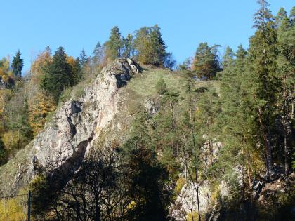 Felsengruppe Ruine Ramstein, Tennenbronn Blick auf eine gerundete, felsige Bergkuppe mit teilweiser Bewaldung. Die Felsen links am dortigen Berghang sind besonders markant. Rechts unten scheinen weitere Felsen zwischen den Bäumen hindurch.