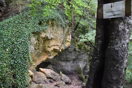 Schillerhöhle am Nordhang der Ruine Hohenwittlingen zum Föhrental Blick auf eine links der Bildmitte befindliche, von vorspringenden, stark bewachsenen Felsen fast verdeckte kleine Höhle. Höhle und Felsen liegen am unteren Ende eines steilen Waldhanges.