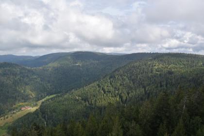 In nördliche Richtung blickt man vom Buchkopfturm über die Höhen des Grindenschwarzwalds. Rechts sieht man den Rossbühl, im Hintergrund ist das Hotel auf dem Schliffkopf zu erkennen. Blick aus großer Höhe auf einen nach rechts aufsteigenden bewaldeten Bergrücken. Links unten liegt ein schmales, baumloses Tal mit ein paar Häusern. Dahinter erheben sich weitere Berge.