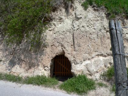 Lösswand mit fossiler Bodenbildung und Lösskeller entlang des geologischen Weinlehrpfads Achkarren Das Bild zeigt eine hellgraue Lösswand vor einem Weganschnitt. Kuppe und linke Wandseite sind bewachsen. Am Fuß der Wand, unterhalb der Bildmitte, befindet sich eine vergitterte Öffnung.