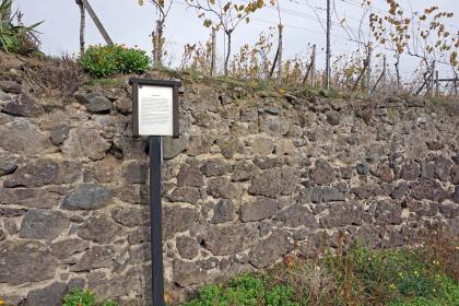 Geologischer Weinlehrpfad Achkarren – Station Stützmauer Leicht seitlicher Blick auf eine aus dunkelgrauen (unten) bis hellgrauen Steinbrocken aufgeschichtete Stützmauer. Die verfugte Mauer an einem Rebhang ist Station des geologischen Weinlehrpfads in Achkarren.