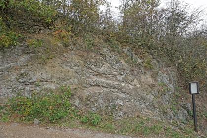 Geologischer Weinlehrpfad Achkarren – links geschichteter, rötlicher Pyroklastit, rechts bei der Tafel grauer Monchiquit Blick auf eine am Fuß und oben bewachsene Gesteinswand mit leicht verschlungener, wolkiger Optik. Ganz rechts steht eine Infotafel als Station des Weinlehrpfades in Achkarren.