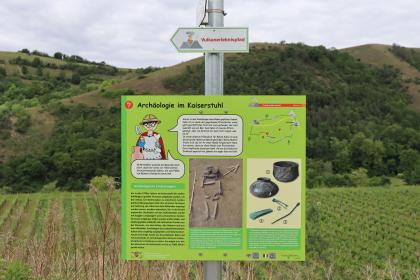Vulkanerlebnispfad Vogtsburg im Kaiserstuhl – Station Archäologie Blick auf eine farbige Schautafel mit Wissenswertem zur Archäologie am Kaiserstuhl. Die Tafel ist Station des Vulkanerlebnispfades Vogtsburg und steht vor Rebhängen sowie teils bewaldeten Bergen.