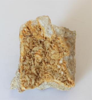 Dolomit-Kristalle (weiß) mit Pyrit (grau) aus Merzhausen Nahaufnahme eines fast quadratischen Gesteinsstückes, mit hellgrauen Bruchkanten und zahlreichen gelblich weißen Kristallen im Innenteil.