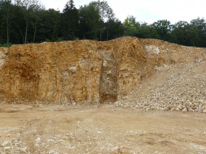 Mit Lehm verfüllte Karstspalte in einem Kalksteinbruch bei Heidenheim a. d. Brenz Zu sehen ist eine gelblich braune Steinbruchwand, in deren Mitte sich eine Spalte mit dunklerem Material vom restlichen Gestein farblich absetzt. Oberhalb der Wand sind Bäume zu erkennen. Rechts im Bild liegt hellbraunes Lockergestein.