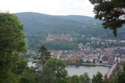 Blick vom Philosophenweg über den Neckar auf die Altstadt von Heidelberg Über Baumspitzen hinweg blickt man auf den Neckar und die Altstadt von Heidelberg mit Bogenbrücke rechts unten und Schlossruine in der Bildmitte.