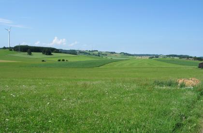 Flachkuppige Albhochfläche östlich von Drackenstein, im Verbreitungsgebiet der Untere-Felsenkalke-Formation Das Bild zeigt eine weite, leicht wellige Grün- und Ackerlandschaft mit einer Wiese im Vordergrund und Windrädern auf den Kuppen im Hintergrund.