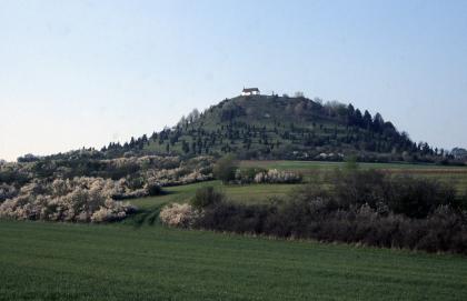 Der Kornbühl bei Burladingen-Salmendingen Oberhalb einer gewölbten, mit Bäumen und Büschen gesäumten grünen Landschaft erhebt sich ein grüner, von Bäumen bestandener Berg. Auf dessen Kuppe steht eine Kapelle. Der Bildvordergrund ist ebenfalls grün, aber flach.