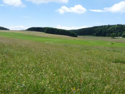 Flachkuppige Hochfläche auf der Westlichen Alb bei Böttingen Das Bild zeigt hochliegende, leicht nach rechts geneigte Wiesenflächen, die - wie im Vordergrund - blühend, teilweise aber auch abgemäht sind. Im Hintergrund schließen sich Waldstreifen an.