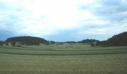 Kuppenalb bei Nusplingen-Heidenstadt Das Bild zeigt eine leicht konvex geformte, grüne Ackerlandschaft. Links und rechts der Mulde sowie im Hintergrund erheben sich flache, bewaldete Hügel.