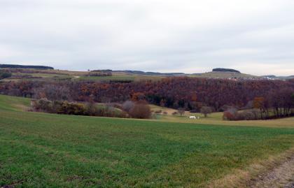 Juranagelfluh-Landschaft der Hegaualb westlich von Tengen Von einer erhöht liegenden Grünfläche geht der Blick über ausgedehnte Waldflächen zu dahinter wieder ansteigenden Ebenen mit krönenden Waldkränzen.