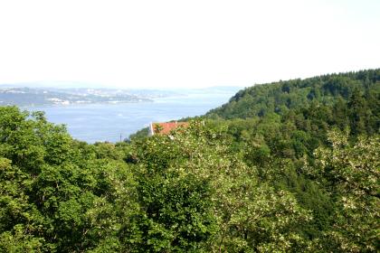 Der Nordabfall des Bodanrücks zum Überlinger See Von erhöhtem Standort aus blickt man über einen bewaldeten Bergrücken auf den tief unten liegenden Bodensee sowie dessen Ufer.