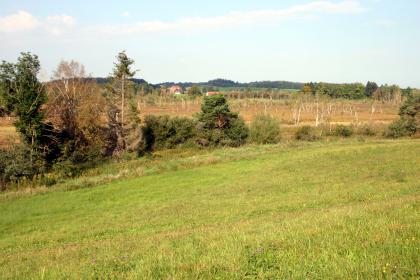 Das Taufach-Fetzach-Moos zwischen Isny und Leutkirch im Allgäu Blick über eine zur Mitte hin abfallende Wiese auf ein rotbraun gefärbtes, mit schlanken weißen Bäumen durchsetztes Hochmoor. Im Hintergrund Bäume und bewaldete Hügel.