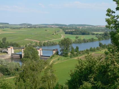 Das Neckartal unterhalb von Talheim Von erhöhtem Standort aus blickt man über Baumwipfel auf eine flachhügelige Landschaft mit Wiesen, Äckern, Wald- und Rebflächen. Ein Fluss, links unterbrochen von einer Doppelschleuse, durchschneidet diese Landschaft von links nach rechts.