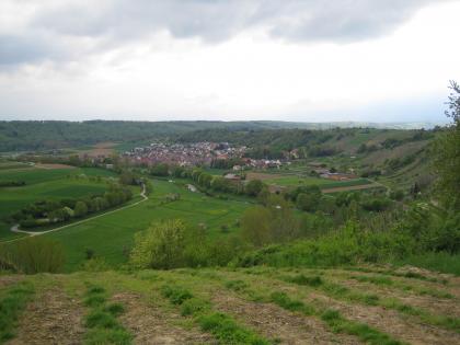 Das Enztal bei Mühlhausen an der Enz Von erhöhtem Standort aus blickt man einen Hang abwärts auf ein leicht hügeliges Tal mit Wiesen, Feldern, Bäumen und einer Siedlung. Rechts zieht sich ein steiler Rebhang bis zum Betrachter nach vorne. Im Hintergrund bewaldete Hügelrücken.
