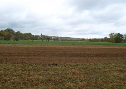Die Neckaraue bei Großingersheim Blick auf mehrere waagrecht verlaufende, teils nackte, teils bepflanzte Ackerflächen. Bäume, Wald, eine Siedlung und flache, nach links ansteigende Hügel im Hintergrund begrenzen die Äcker.