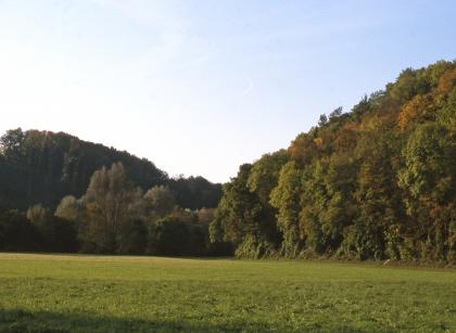 Im Murrtal zwischen Burgstall und Kirchberg an der Murr Blick auf eine ebene Wiese und angrenzende, dichte Wälder.