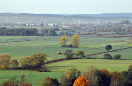 Aussicht nach Südwesten über die große Ebene des Donaueschinger Rieds bei Pfohren Hinter herbstlich gefärbten Bäumen breitet sich eine weite grüne Ebene aus. Sie wird von Fahrwegen und Gräben durchzogen. Auch weitere, einzeln stehende Bäume sind zu sehen. Im Hintergrund steigt die Ebene an. Die Kuppe ist bewaldet.