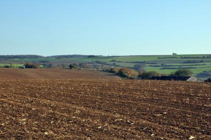 Zertalte Gäufläche im Tauberland bei Weikersheim-Laudenbach Blick auf dunkelbraune, gewellte Ackerflächen, an die sich rechts ein flacher, von mehreren Heckenstreifen durchzogener grüner Hang anschließt.