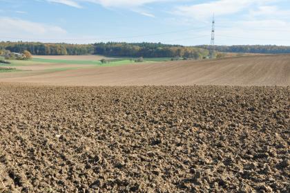 Von Lösslehm bedeckte Bauland-Gäufläche östlich von Elztal-Dallau Das Bild zeigt im Vordergrund flache, dahinter gewellte, vorwiegend hellbraune Ackerflächen. Im Hintergrund schließen sich Waldgebiete an.