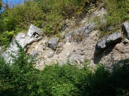 Tuffbrekzie am Aichelberg Blick auf eine oben und unten bewachsene Gesteinswand. Auf dem bräunlichen Gestein sind mehrere dunkelgraue, teils lose aufliegende Blöcke eingeschaltet. Links steht weißliches Gestein vor.