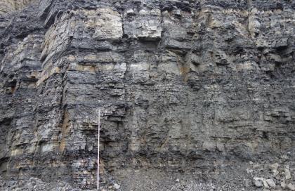 Wechselfolge aus plattigen bis dünnbankigen Kalksteinen und dünnen Tonmergelsteinlagen. Blick auf eine mehr als 10 Meter hohe Steinbruchwand. Das graue Gestein zeigt eine Wechselfolge aus plattigen bis dünnbankigen Kalksteinen und dünnen, dunkleren Tonmergelgesteinen. Vor der Wand steht ein 5 Meter hoher Maßstab.