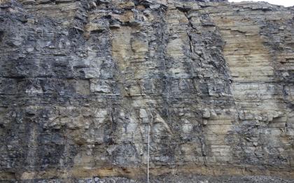 Dünn- bis mittelbankige, teilweise plattige Kalksteine. Blick auf eine Steinbruchwand aus hellem, meist grau angewitterten dünnbankigen, teilweise plattigen Kalkstein. Vor der hohen Wand steht ein Maßstab.
