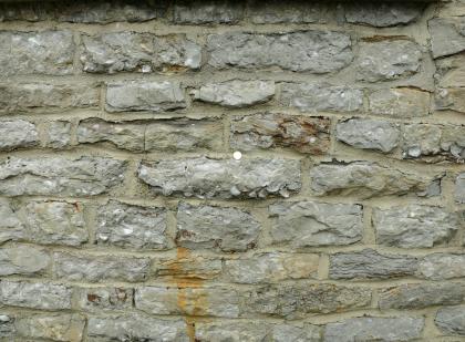 Detailaufnahme aus einer Arietenkalkmauer Ansicht einer grünlich grauen Steinmauer mit unregelmäßig geformten Steinen, in die teilweise Austernschalen eingelassen sind. Eine kleine Münze zeigt die Größenverhältnisse an.