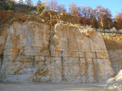 Abbauwand: Zuckerkornlochfels über Quaderkalken Blick auf eine mehrere Meter hohe Abbauwand in einem Steinbruch. Die unteren vier Fünftel der Wand bestehen aus quaderförmigen, hellbeige bis gelblichen Blöcken, darüber befindet sich löchriges, rostbraunes Gestein. Über der Wand wachsen Bäume.