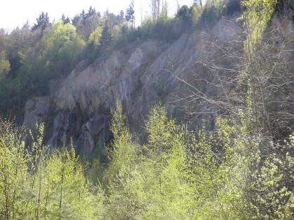 Der Bühlertal-Granit tritt am westlichen Rand des Nordschwarzwalds auf. Der Bühlertal-Granit tritt am westlichen Rand des Nordschwarzwalds auf.